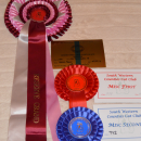 RESERVE GRAND CHAMPION, South Western Counties Cat Club Show 27-9-2014